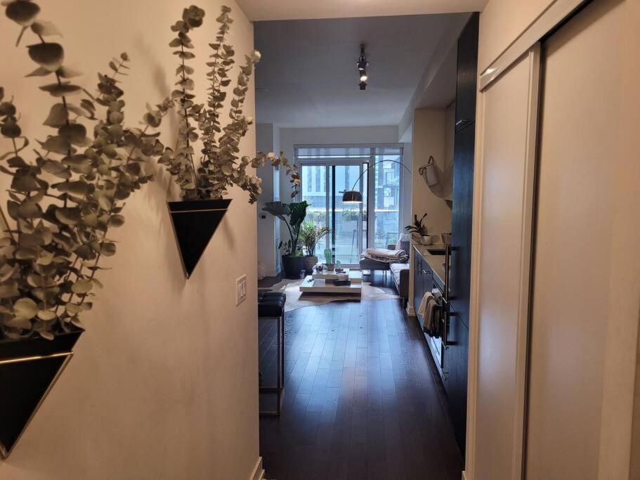 Beautiful One Bdrm Entertainment District Apartment Toronto
